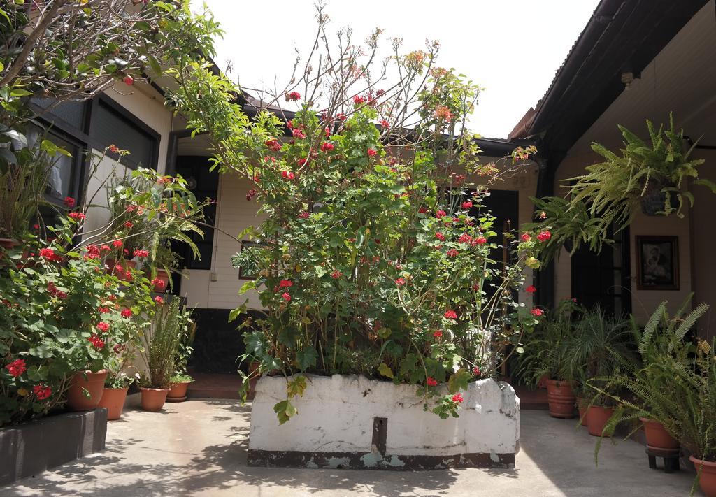 بيت شباب Casa Seibel كويتزالتنانغو المظهر الخارجي الصورة