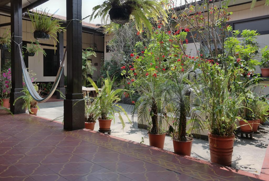 بيت شباب Casa Seibel كويتزالتنانغو المظهر الخارجي الصورة