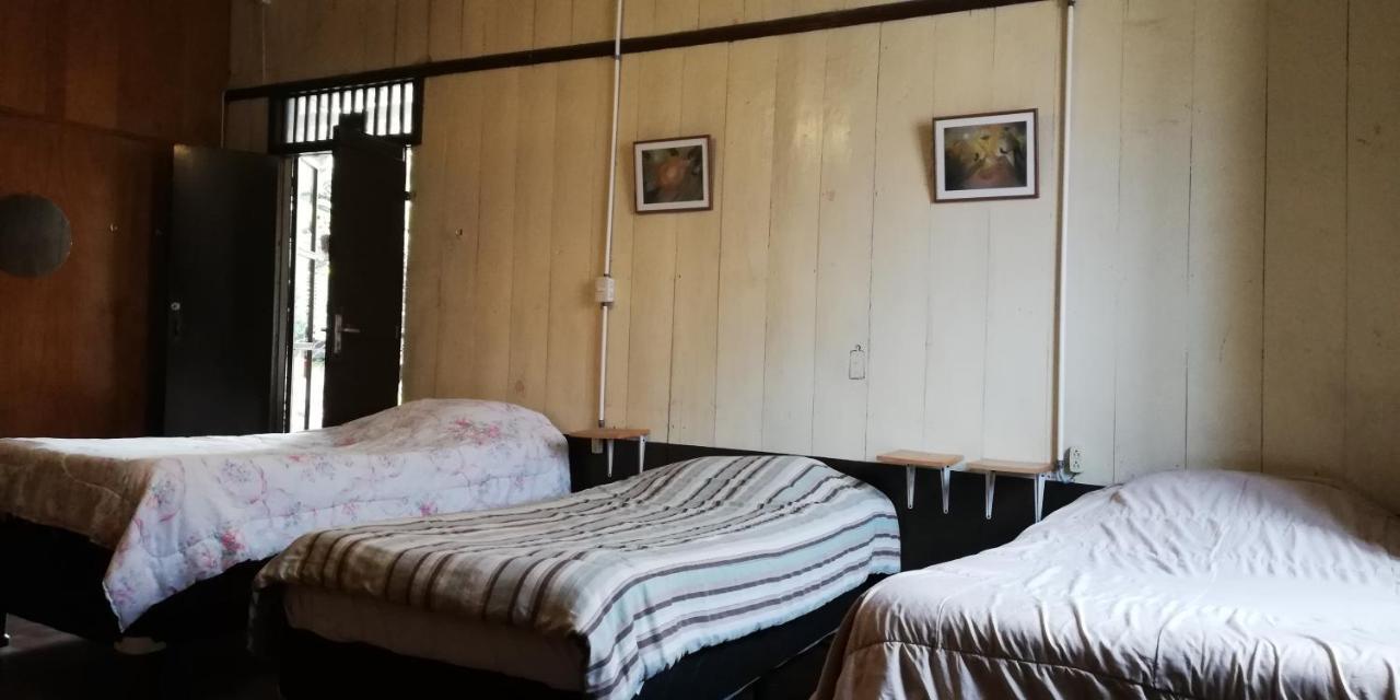 بيت شباب Casa Seibel كويتزالتنانغو المظهر الخارجي الصورة